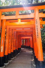 Image showing Fushimi Inari Taisha torii, Kyoto, Japan