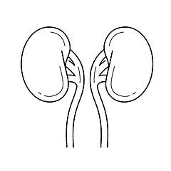 Image showing Human kidneys line icon.