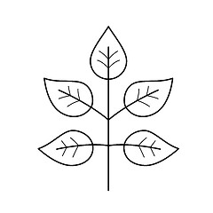 Image showing Branch with leaves vector line icon.