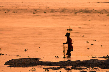 Image showing Asian Woman fishing in the river, silhouette at sunset