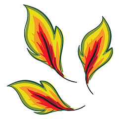 Image showing Clipart of yellow autumn leaves vector or color illustration