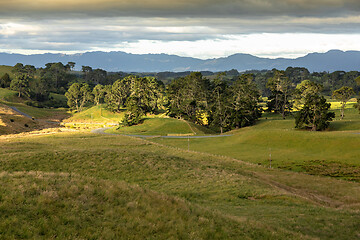 Image showing typical rural landscape in New Zealand