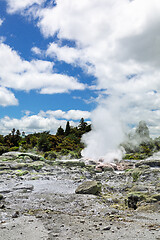 Image showing volcanic activities at waimangu