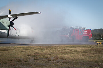 Image showing Flight on Fire