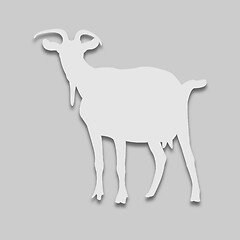 Image showing animal goat in bright tone
