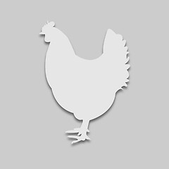 Image showing bird chicken in bright tone