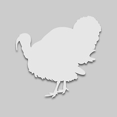 Image showing turkey bird in bright tone