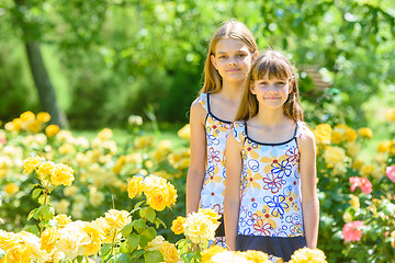 Image showing Two girls stand in a beautiful flower garden of roses