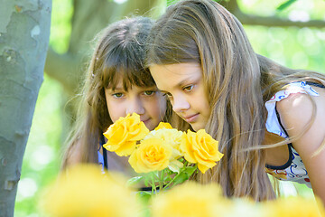 Image showing Children examine beautiful yellow roses in the park