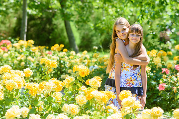 Image showing Two girls stand in a beautiful flower garden and hug each other