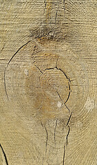 Image showing Old weathered wooden texture with rings and cracks