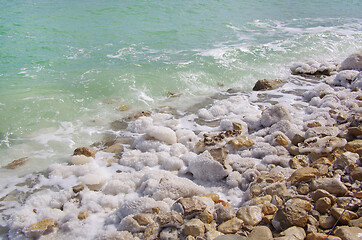 Image showing Salted rocks on the Dead Sea