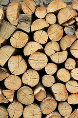 Image showing Firewood pile stacked chopped wood trunks