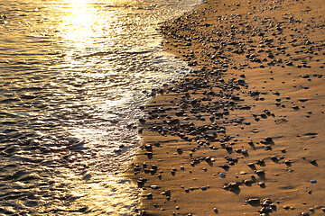 Image showing Seashore with pebbles on a sandy beach in the rays of sunlight