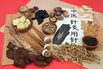 Image showing Acupuncture Needles used in Traditional Chinese Medicine