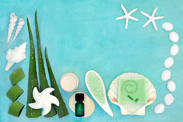 Image showing Aloe Vera Anti Ageing Skin Care