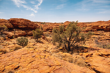 Image showing Kings Canyon in center Australia