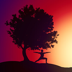 Image showing man doing yoga under a tree in the sunset