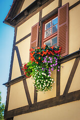 Image showing flowers at a half-timbered house window