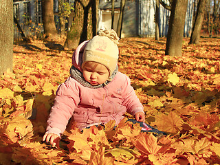 Image showing baby plays with Autumn leaves in the park