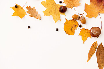 Image showing autumn leaves, chestnuts, acorns and chokeberries