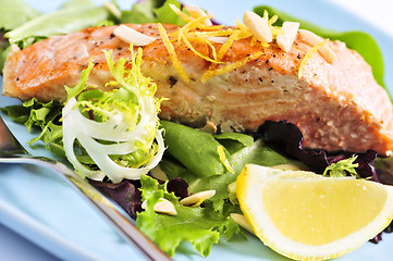 Image showing Salad with grilled salmon