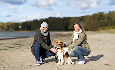 Image showing happy couple with beagle dog on autumn beach