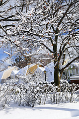 Image showing Winter street