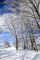 Image showing Winter street