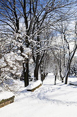 Image showing Winter park