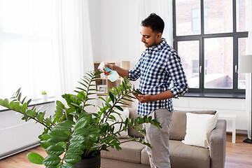 Image showing man spraying houseplant with water at home