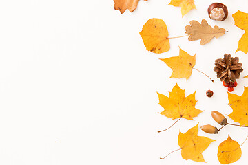 Image showing dry autumn leaves, rowanberries and pine cones