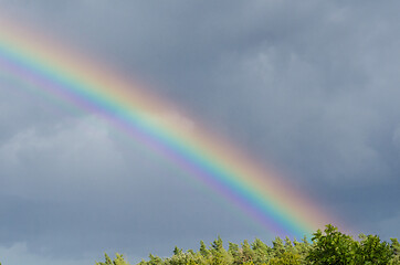 Image showing Rainbow above some green tree tops