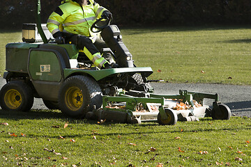 Image showing Park Cleaning