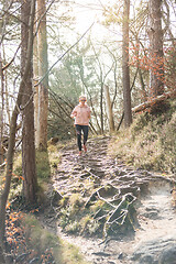 Image showing Active sporty woman listening to the music while running in autumn fall forest. Female runner training outdoor. Healthy lifestyle image of young caucasian woman jogging outside