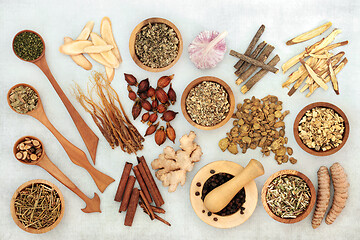 Image showing Herbs and Spice to Relieve Asthma