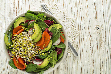 Image showing Salad alfalfa sprouts