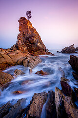 Image showing Solitary lone tree on a rock stands firm against the elements