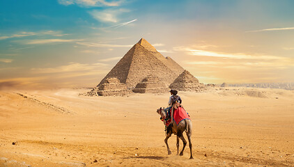 Image showing Camel and the Pyramids