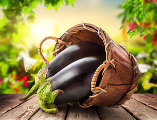 Image showing Eggplants in a basket