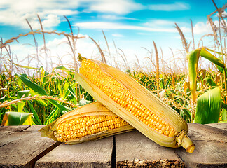 Image showing Corn on table