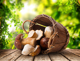 Image showing Mushrooms in a basket