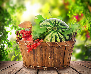 Image showing Watermelon in a basket