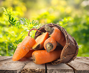 Image showing Fresh carrots in basket