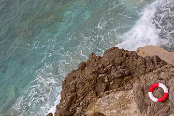 Image showing Lifesaver Rock Coast