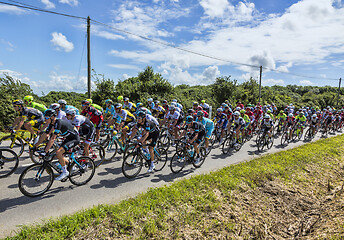 Image showing The Peloton - Tour de France 2016