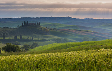 Image showing Tuscany landscape at sunrise in Italy