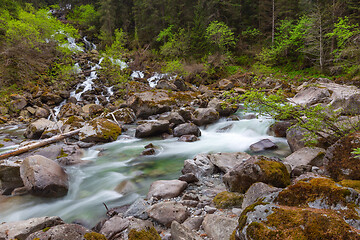 Image showing Forest stream in mountains at spring