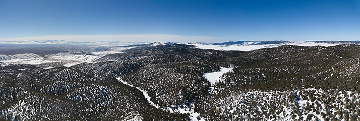 Image showing Atlas mountains snow forest in Morocco