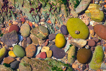 Image showing multicolored pebble under clear water